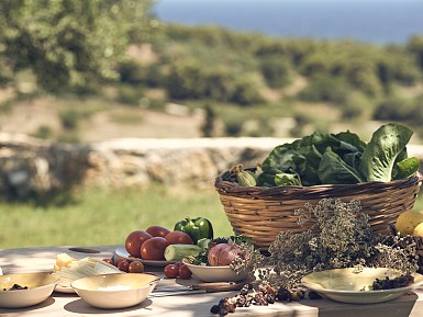 Olive oil tasting/cooking